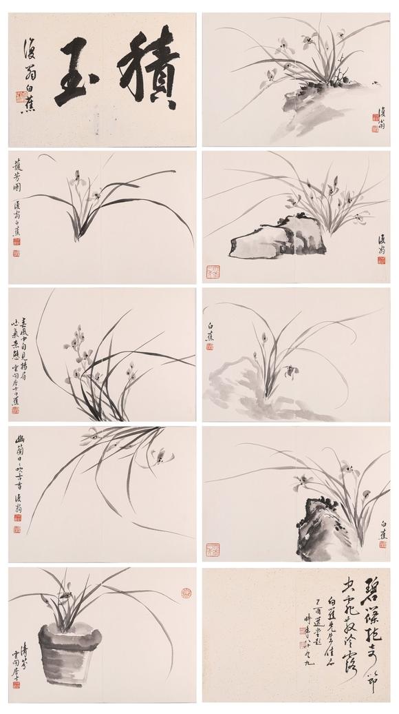 阪神国际美术竞売株式会社白蕉 兰花图8画2字共十开(lot092-110为同一