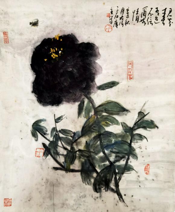 曾宓 牡丹