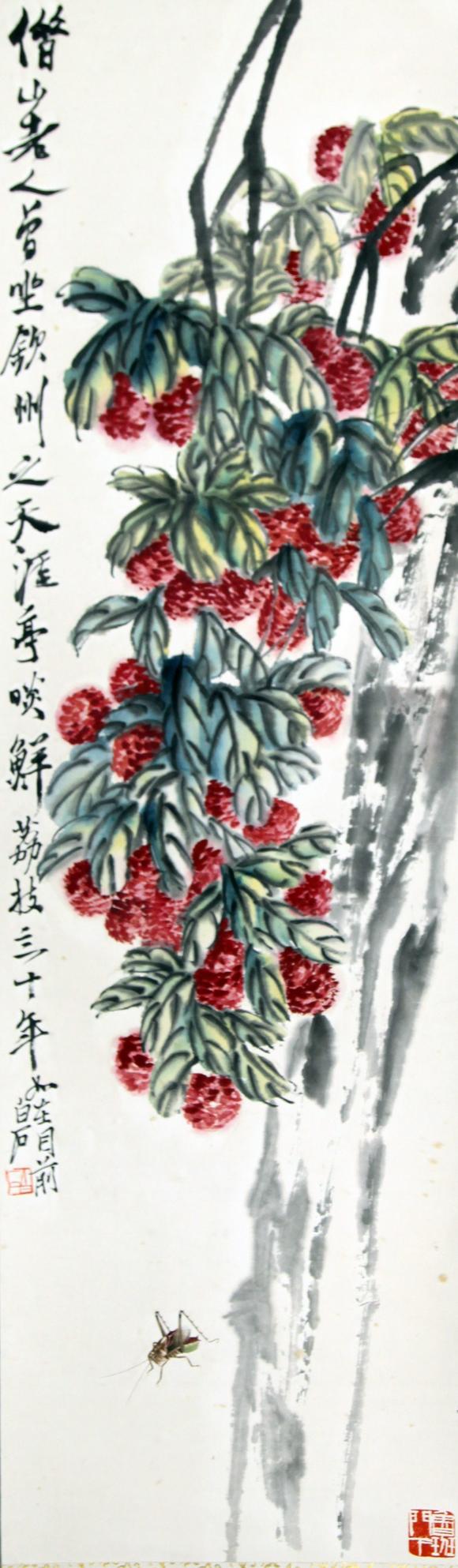 北京嘉翰荔枝