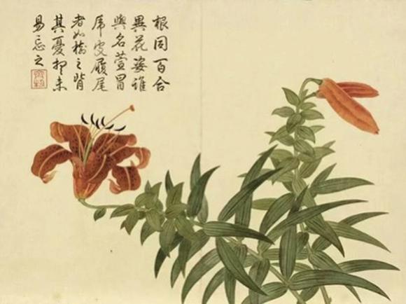 華藝國際清雍正  白釉暗刻纏枝蓮粉彩萱壽延齡圖梅瓶