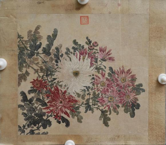 揚州正德佚名 菊花