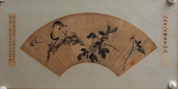 揚州正德八大 貓