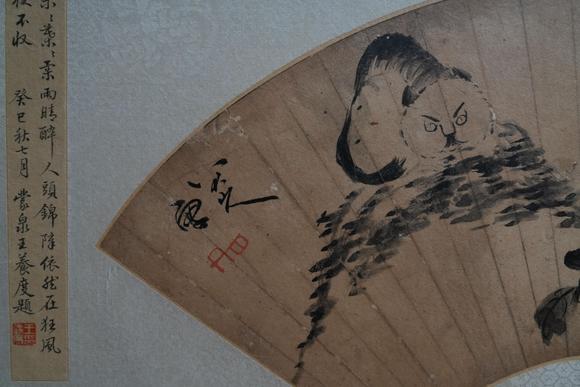 揚州正德八大 貓