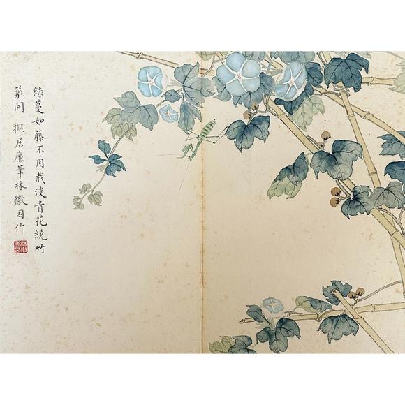 鐮倉美術(shù)林徽因 花卉冊頁八開
