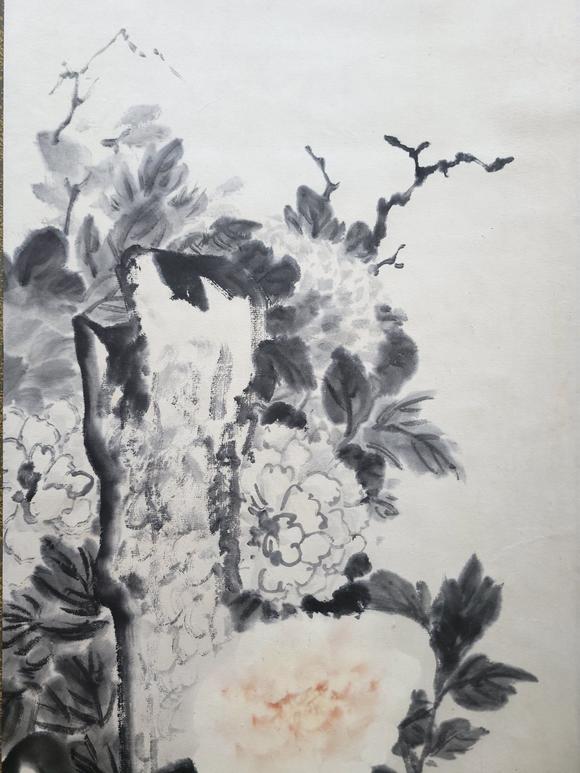 日本松町古美潘天壽 花卉