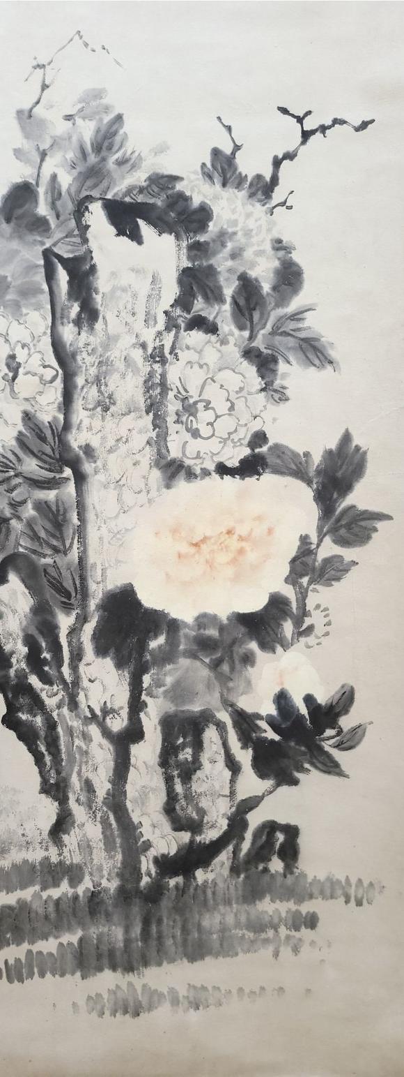 日本松町古美潘天壽 花卉