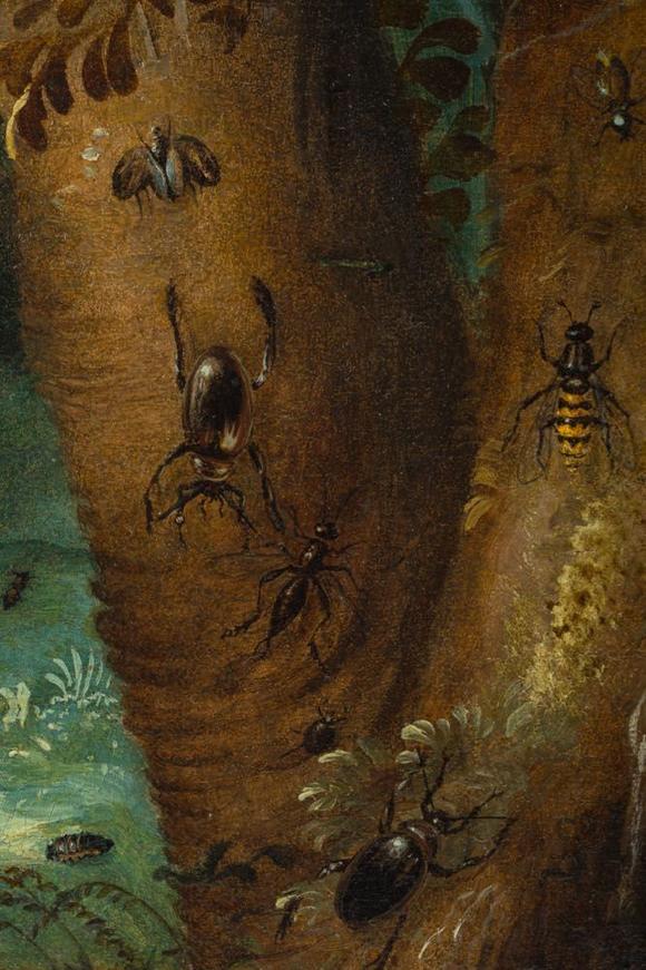 Coronari Auctions BVOtto Marseus Van Schrieck (1619-1678): A pair of forest still lifes with butterflies and insects, oil on panel
