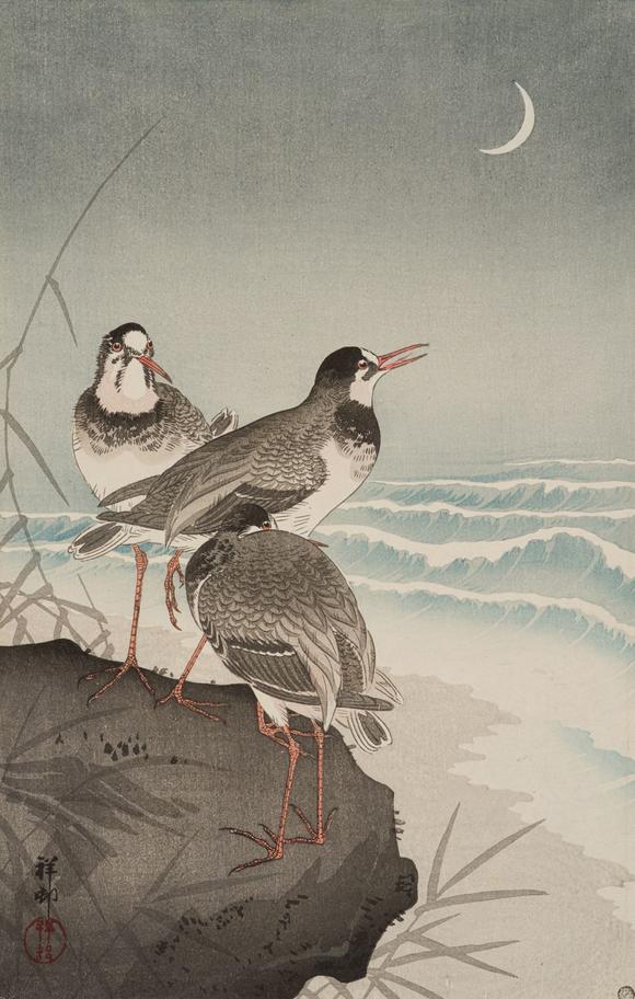 Galerie ZackeOHARA KOSON: PLOVERS AND WAVES