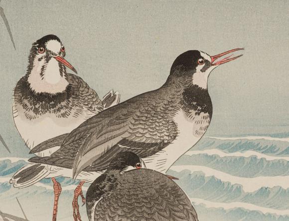 Galerie ZackeOHARA KOSON: PLOVERS AND WAVES
