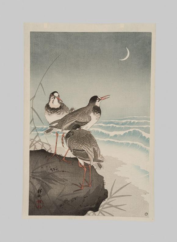 Galerie ZackeOHARA KOSON: PLOVERS AND WAVES