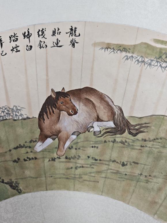 山東常藏馬