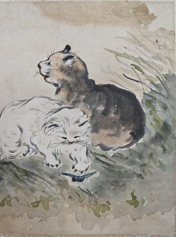 山東常藏貓蝶圖