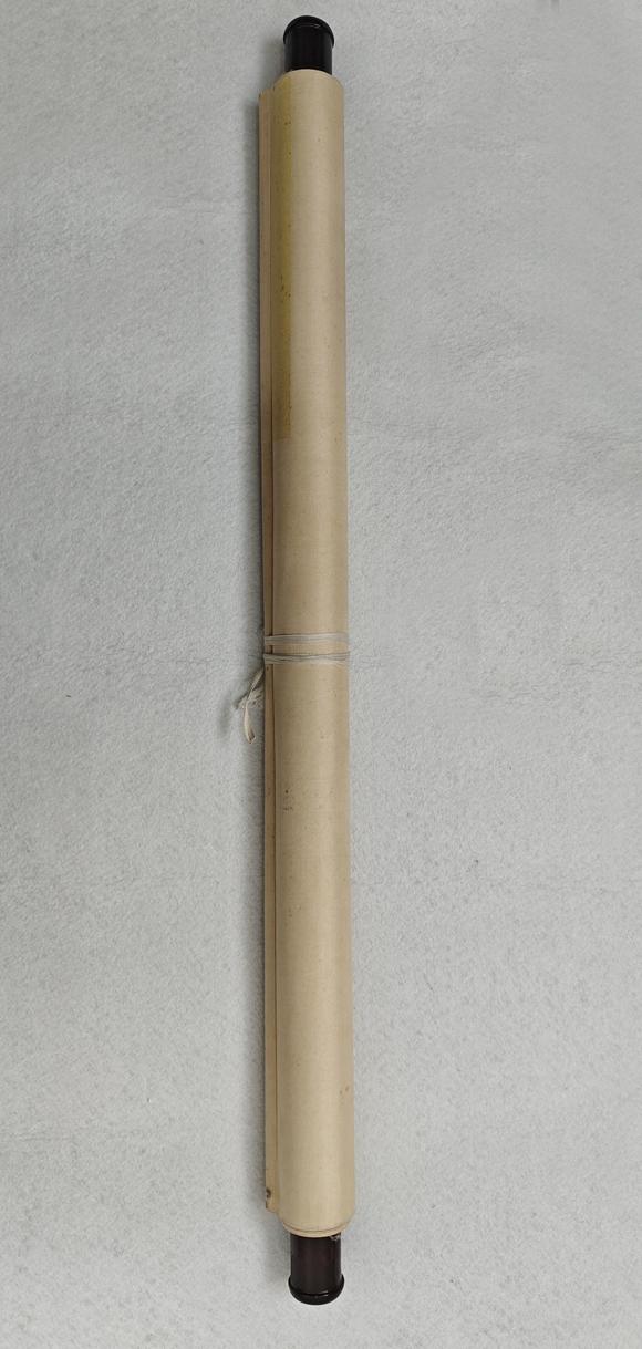 山東常藏荷花