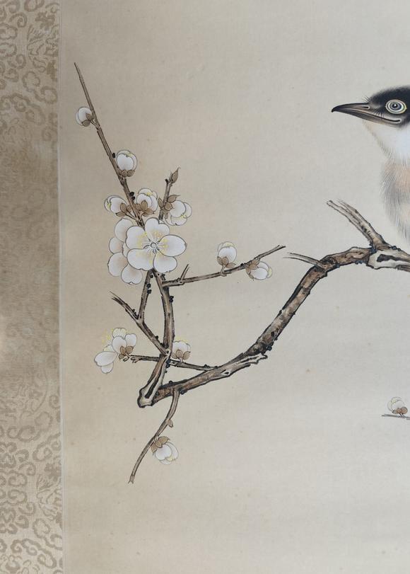 山東常藏花鳥(niǎo)
