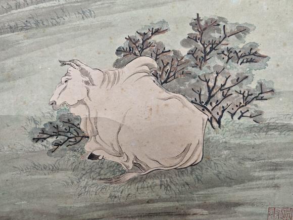 山東常藏牛