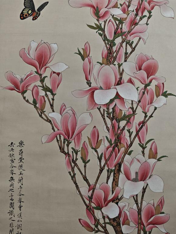 山東常藏花蝶