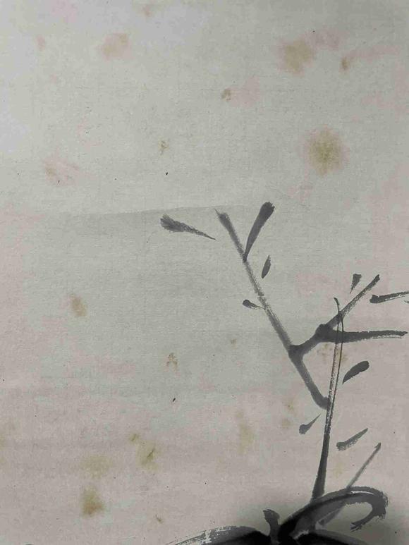 日本松町古美徐渭 花卉