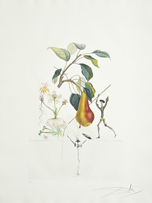 Piguet - H?tel des VentesSalvador Dali (1904-1989),  FlorDali - Les Fruits , 1969, 10 pointes-sèches et lithographies en couleurs, signées et numérotées 7/35