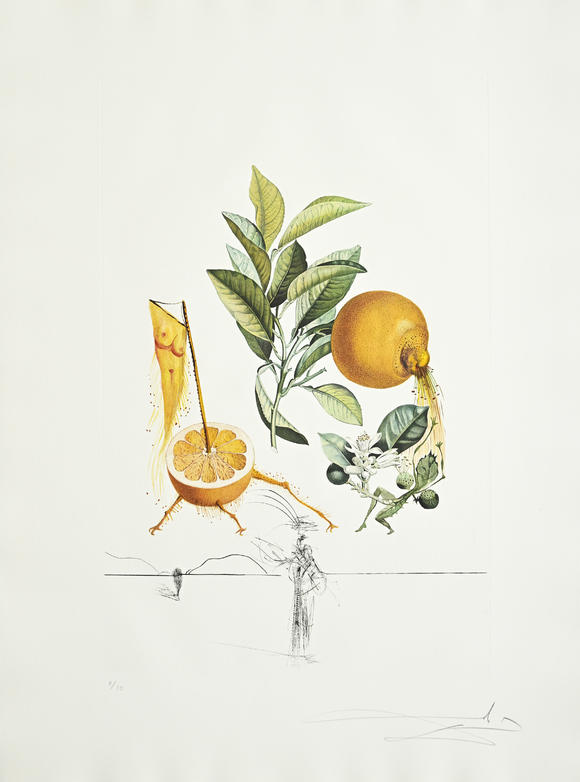 Piguet - H?tel des VentesSalvador Dali (1904-1989),  FlorDali - Les Fruits , 1969, 10 pointes-sèches et lithographies en couleurs, signées et numérotées 7/35