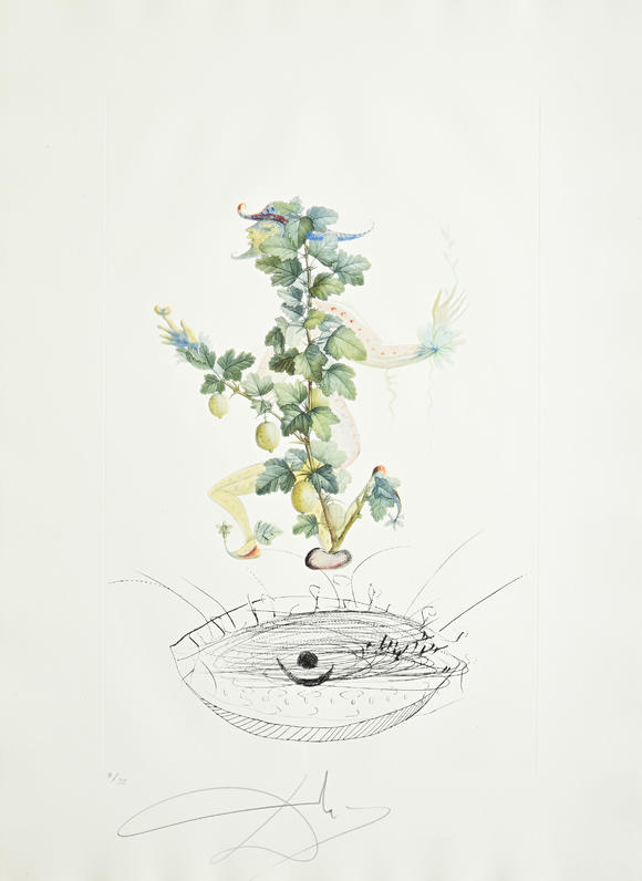 Piguet - H?tel des VentesSalvador Dali (1904-1989),  FlorDali - Les Fruits , 1969, 10 pointes-sèches et lithographies en couleurs, signées et numérotées 7/35
