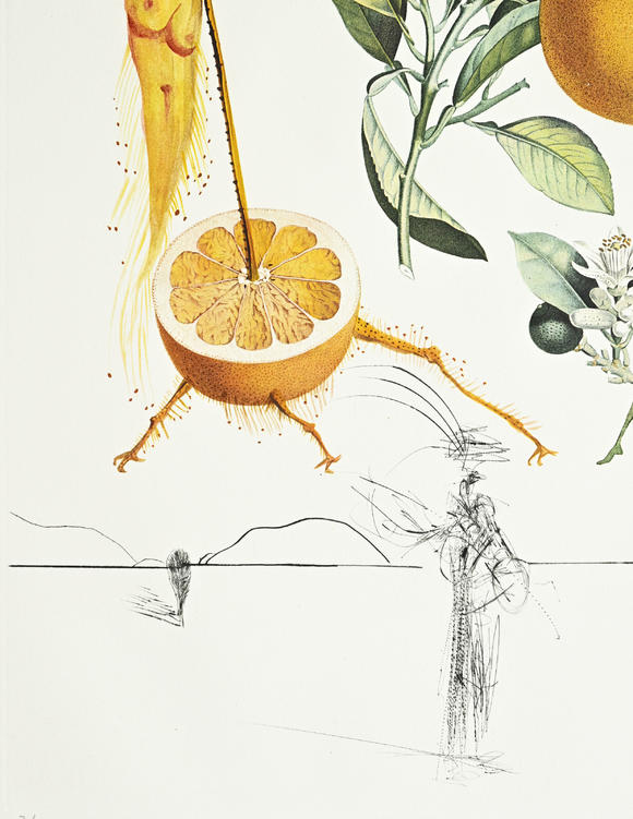 Piguet - H?tel des VentesSalvador Dali (1904-1989),  FlorDali - Les Fruits , 1969, 10 pointes-sèches et lithographies en couleurs, signées et numérotées 7/35