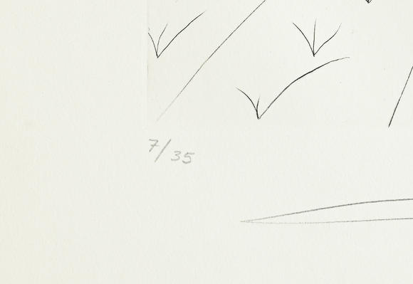 Piguet - H?tel des VentesSalvador Dali (1904-1989),  FlorDali - Les Fruits , 1969, 10 pointes-sèches et lithographies en couleurs, signées et numérotées 7/35