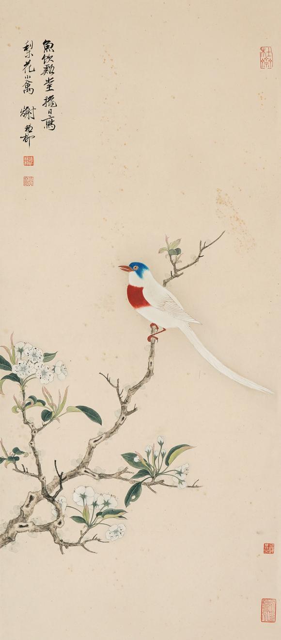 中鴻信謝稚柳（1910-1997）?梨花綬帶