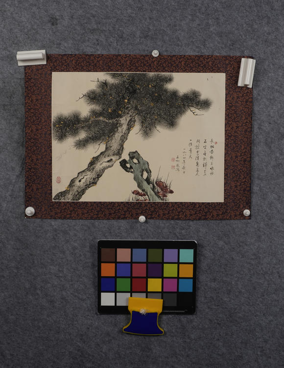 華岳國際啟功  松芝圖