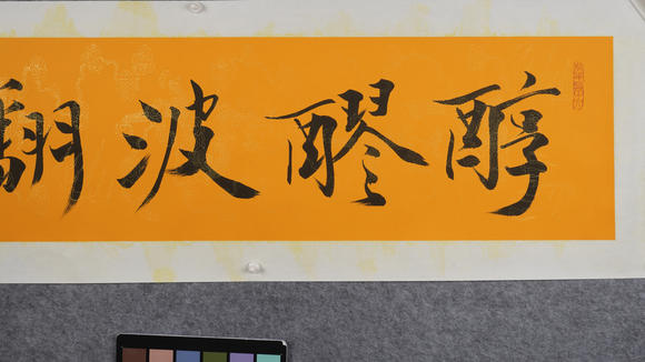 華岳國(guó)際范曾  書(shū)法