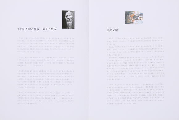 萬領(lǐng)國際啟功  書法