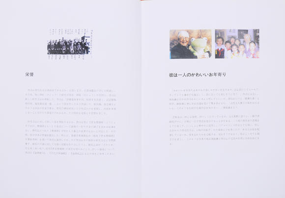 萬領(lǐng)國(guó)際啟功  書法