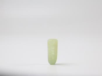 白玉蠶