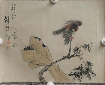 華嵒 小鳥