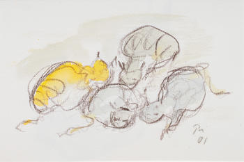 Wolfgang Binding (München 1937). Four cats.