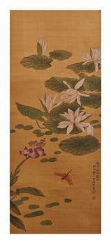 荷花蜻蜓