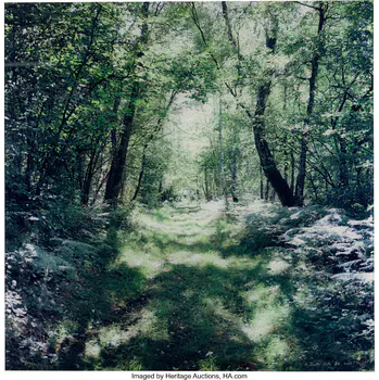 Antoine Bootz (20th Century) Path #2, 2005 Dye c