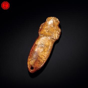 明 玉蟬蛹