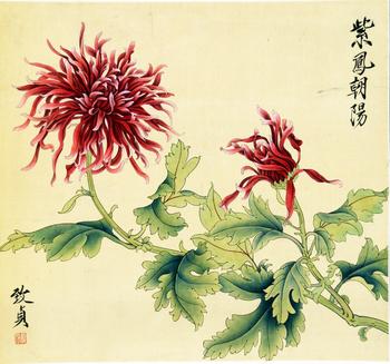 紫鳳朝陽