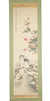 孫鵬 貓