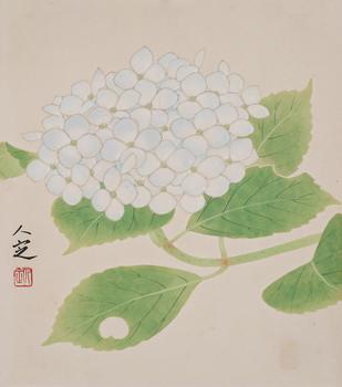 花卉