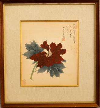 溥儒 一花一世界