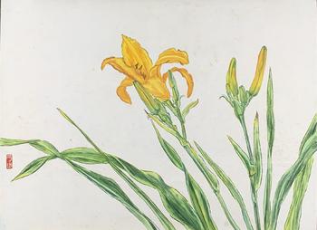 花卉 27.2×26.5cm  紙本設(shè)色卡紙