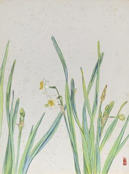 花卉  36.4×27.3cm 紙本設(shè)色卡紙