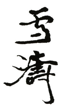 王雪濤