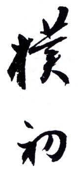 趙樸初