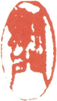 王翚