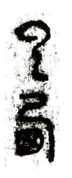 曹知白