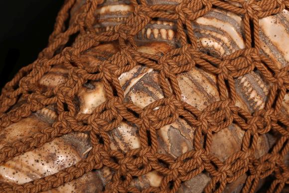 东京新日本法螺