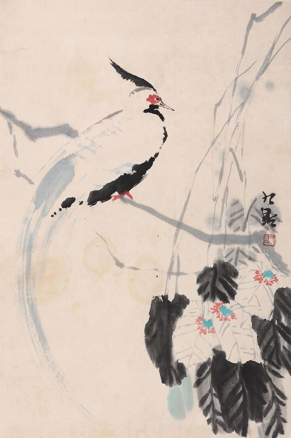 李琼久珙桐白鹇