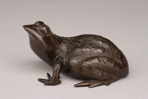 古铜蟾蜍